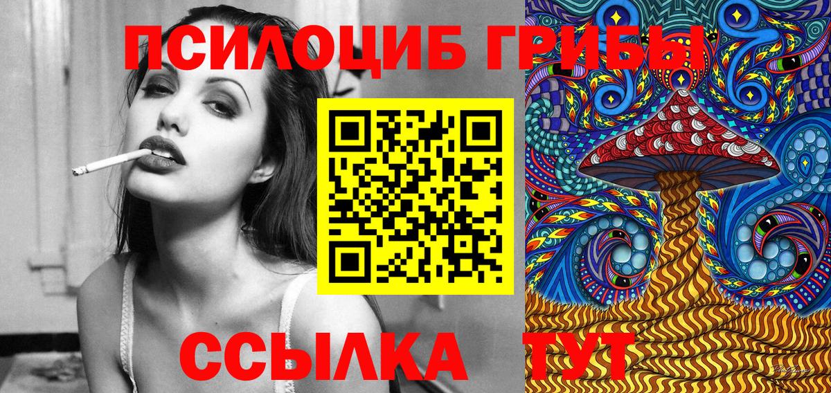 Псилоцибиновые грибы Psilocybine cubensis  Вход с VPN  Кириши 