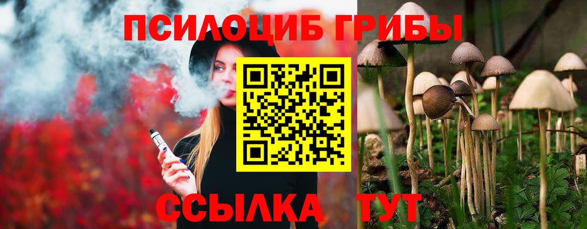 Псилоцибиновые грибы MAGIC MUSHROOMS Кириши